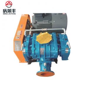 羅茨鼓風(fēng)機(jī)