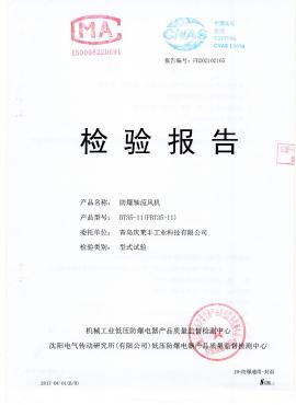 檢測報告